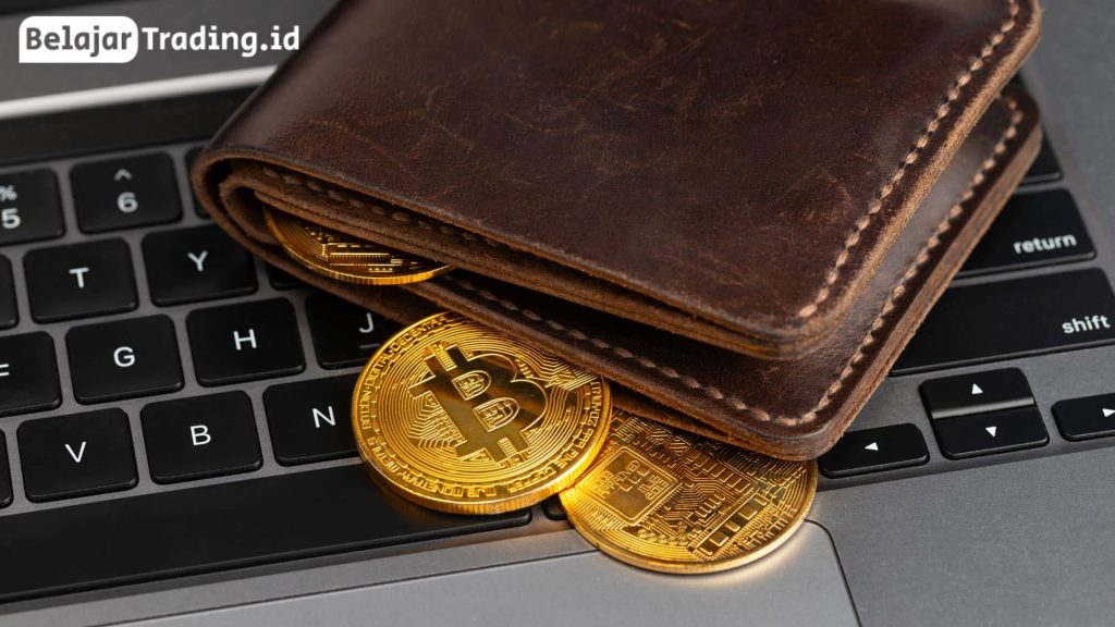 Jenis Bitcoin wallet address yang dapat dipakai